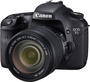 7D