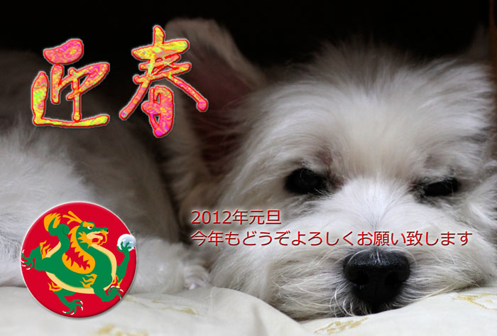 NewYear2012